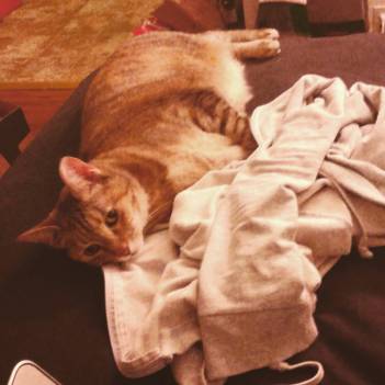 13244115_1221234371222588_1124077201779068169_o